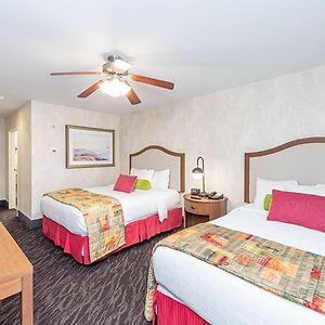 Queen Room Two Queen Beds Mobility or Hearing Access Roll Shower Non-Smoking